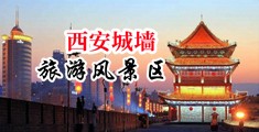 插小骚逼电影中国陕西-西安城墙旅游风景区